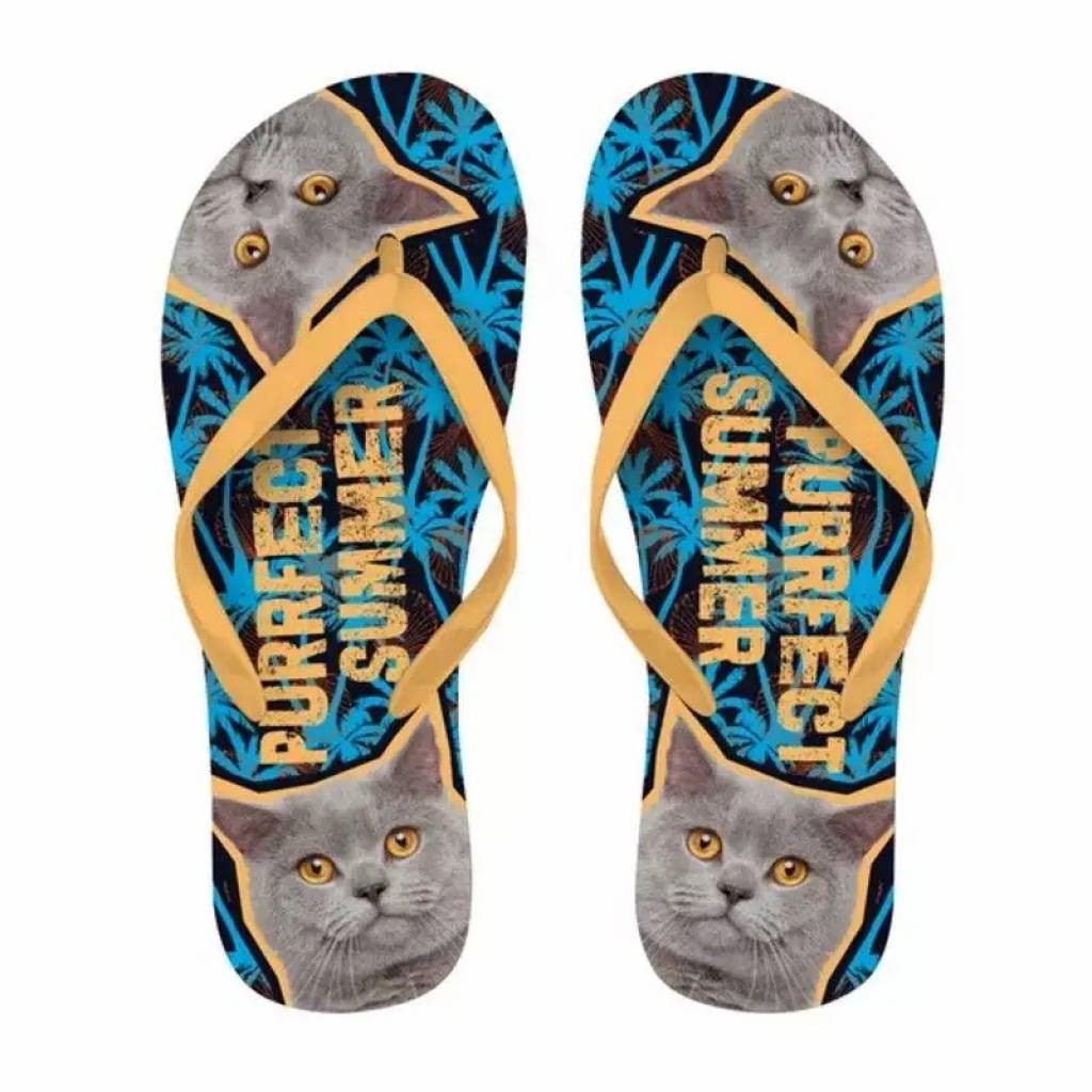 Flip Flops Britisch Kurzhaar Katze 37-39